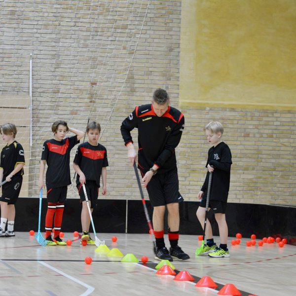 52537830_817288115271380_6808760466928566272_n